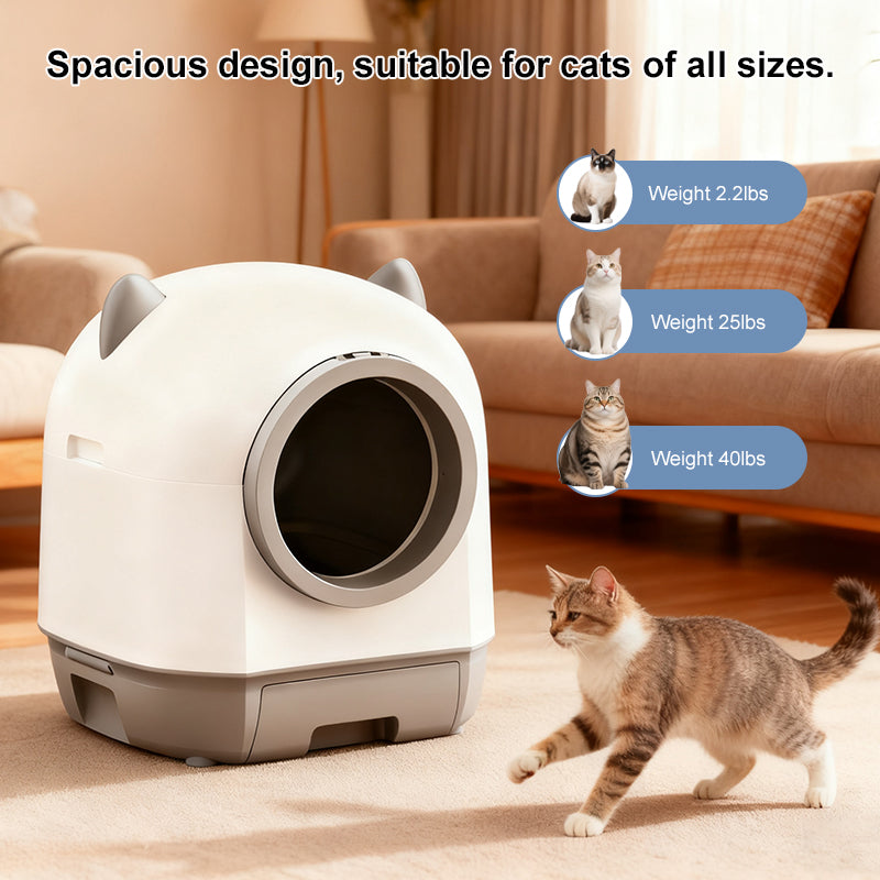 Spacious design all cat sizes