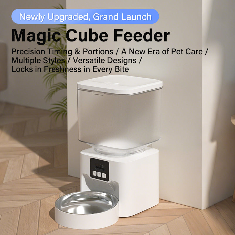 Magic Cube Feeder stainless bowl lifestyle scene