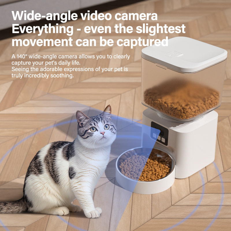140 degree wide-angle camera cat motion detection